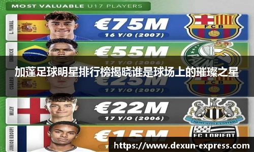 加蓬足球明星排行榜揭晓谁是球场上的璀璨之星